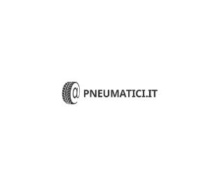 pneumatici.it